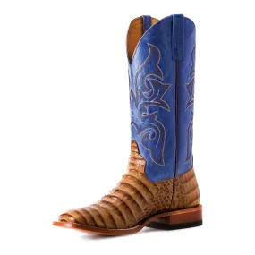 Men's Horsepower Toasted Caiman Print with Blue Sinsation Top HP1842