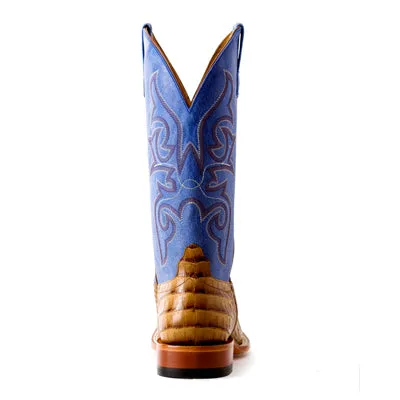 Men's Horsepower Toasted Caiman Print with Blue Sinsation Top HP1842