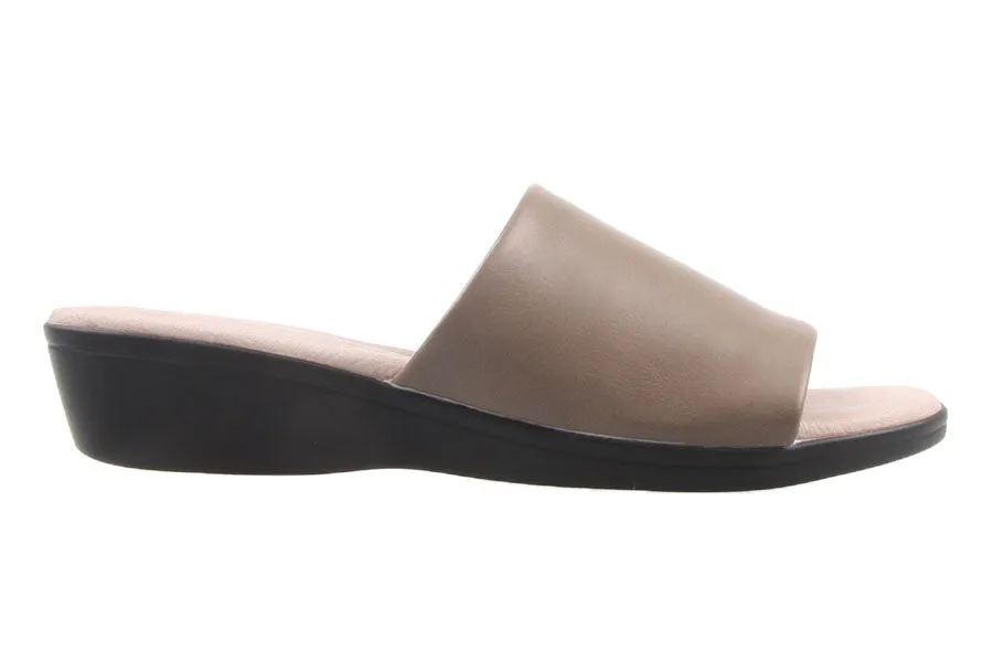 STAR TAUPE