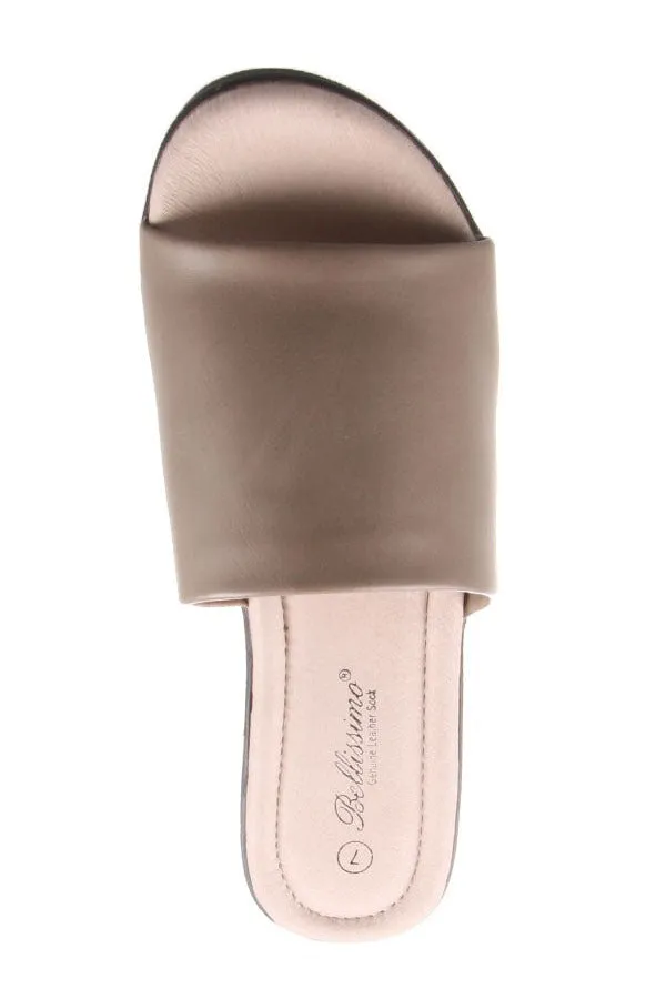 STAR TAUPE