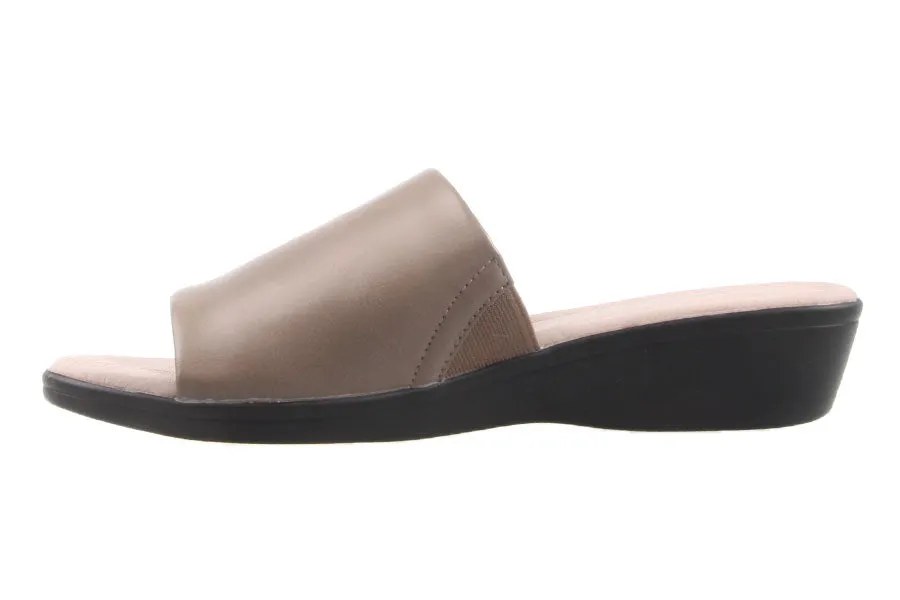STAR TAUPE